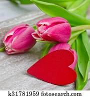 tulips tulips