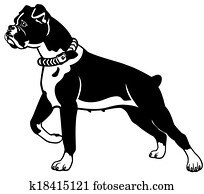boxer hund boxer hund