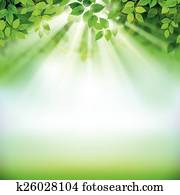green leaves green leaves