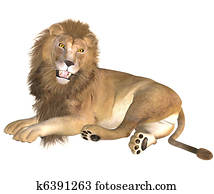 lion lion