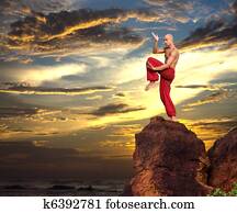 Martial Artist Martial Artist