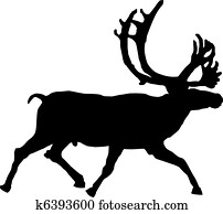 reindeer reindeer
