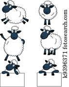 Sheep, caricatura