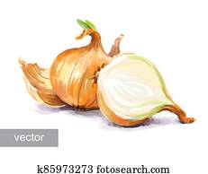 Vegetable set. Onion, radish, cucumber, blot. Harvest and Thanksgiving fruit of nature, food collection for restaurants, menus, posters and grocery bags. Graphics and color