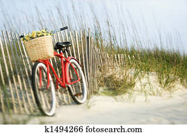 אופניים, עם, flowers.