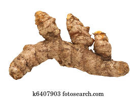 Fresh Turmeric Root Isolated Fresh Turmeric Root Isolated