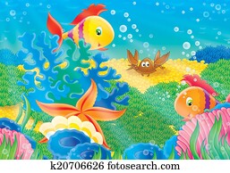 Coral reef Coral reef