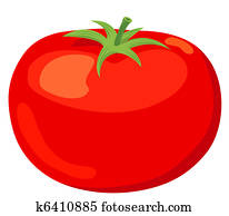 The tomato. The tomato.