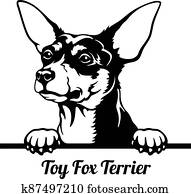 שחק, טריר של שועל, להציץ, כלב, -, הובל, הפרד, בלבן