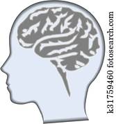 Brain Brain