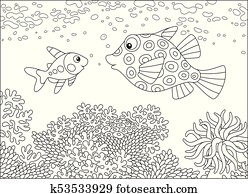 X-ray fish and boxfish X-ray fish and boxfish