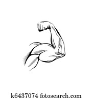 Arm Muscles Arm Muscles