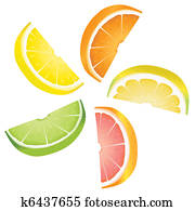 Citrus slices Citrus slices