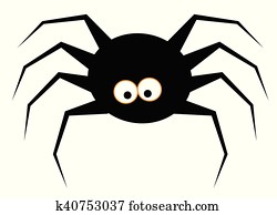 Spider Spider