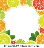 White Centre Citrus Fruits White Centre Citrus Fruits