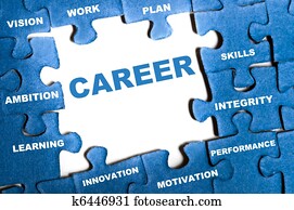 Career puzzle Career puzzle