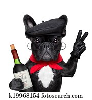 franzoesischer, hund franzoesischer, hund