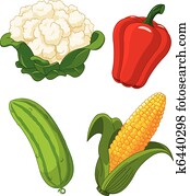  Set of vegetables2