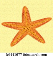 Starfish Starfish