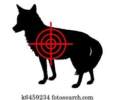 Coyote crosslines Coyote crosslines