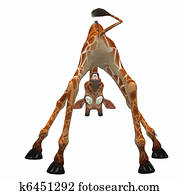giraffe giraffe