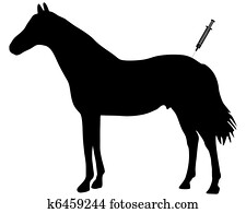 Immunization for horses Immunization for horses