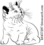 vector cute little fluffy kitten British vector cute little fluffy kitten British