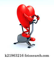 לב, רכוב אופניים