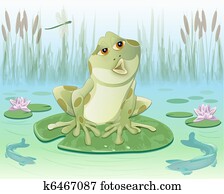 frog in a pond frog in a pond