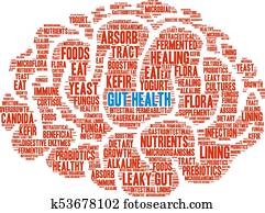 Gut Health Word Cloud