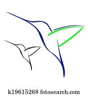 kolibri kolibri