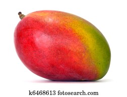 mango mango