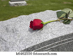 Rose on a Grave Rose on a Grave