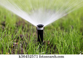 Sprinkler Fotos | 1000+ Sprinkler Bilder | Fotosearch