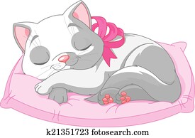 Cute white cat Cute white cat