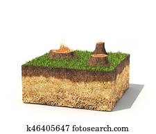 Eco concept. Cross section of ground with tree stumps. 3d illustration