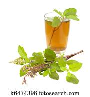 Holy Basil Tulsi Tea Ayurvedic Remedy Holy Basil Tulsi Tea Ayurvedic Remedy