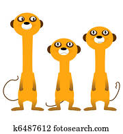 Curious meerkats Curious meerkats