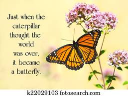 Inspirational quote on life by an unknown author with a pretty monarch butterfly perched at a flower. Inspirational quote on life by an unknown author with a pretty monarch butterfly perched at a flower.