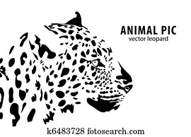leopard leopard