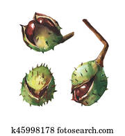 Set chestnut with crust. Set chestnut with crust.