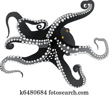 vectors octopus vectors octopus