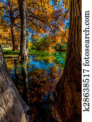Beautiful Fall Foliage on River