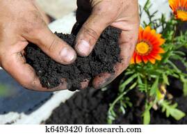 Black soil