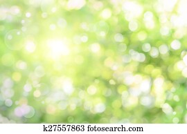 bonito, defocused, destaca, em, foliage