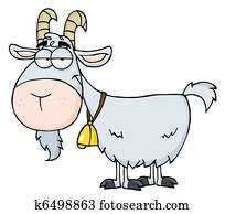 Gray Goat Gray Goat