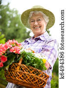 senior woman gardening