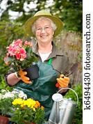 ältere frau, gartenarbeit