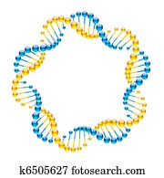 DNA Strands DNA Strands