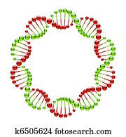 DNA Strands DNA Strands
